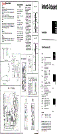 TRAVIATA 5 633-电路原理图.pdf